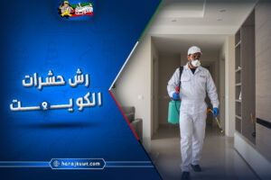 رش حشرات الكويت